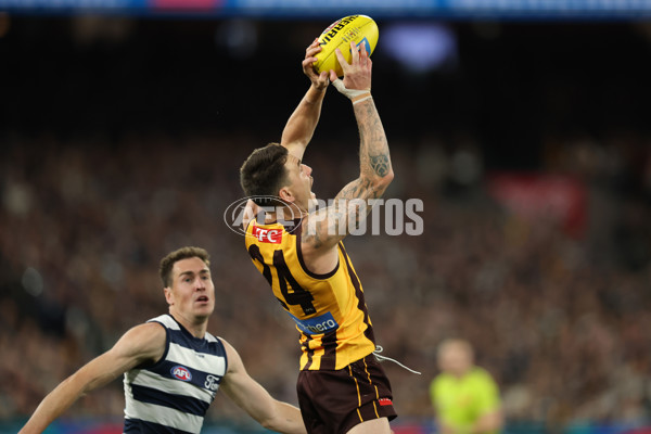AFL 2025 Second Preliminary Final - Geelong v Hawthorn - A-62897153