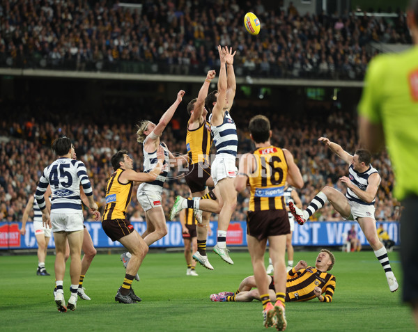 AFL 2025 Second Preliminary Final - Geelong v Hawthorn - A-62897191