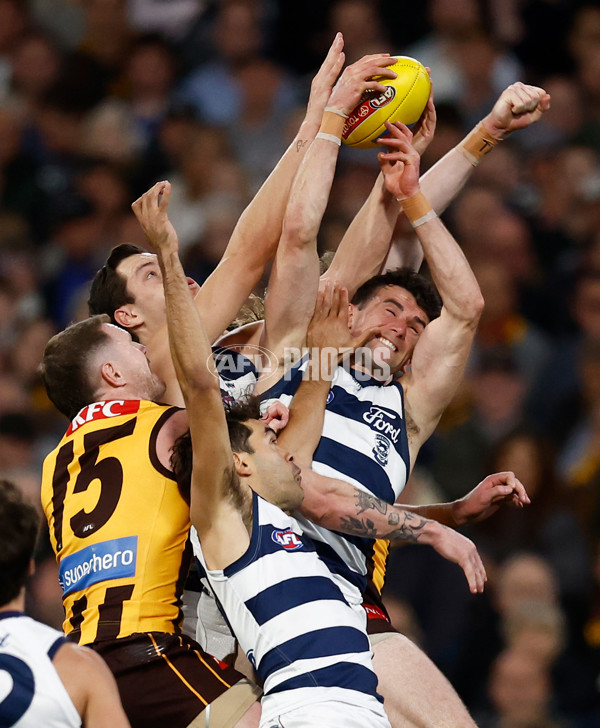 AFL 2025 Second Preliminary Final - Geelong v Hawthorn - A-62897204