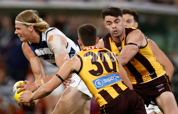 AFL 2025 Second Preliminary Final - Geelong v Hawthorn - A-62897205