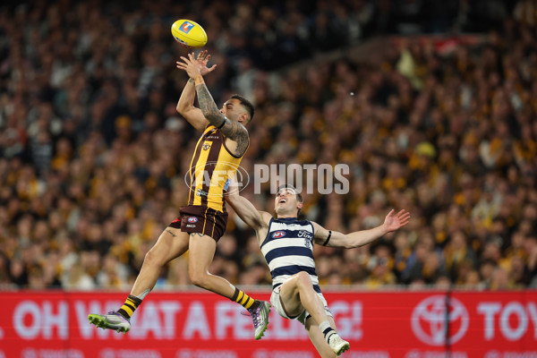AFL 2025 Second Preliminary Final - Geelong v Hawthorn - A-62899106