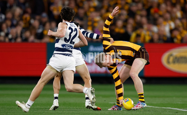 AFL 2025 Second Preliminary Final - Geelong v Hawthorn - A-62899118