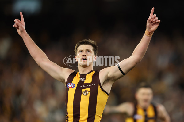 AFL 2025 Second Preliminary Final - Geelong v Hawthorn - A-62899125