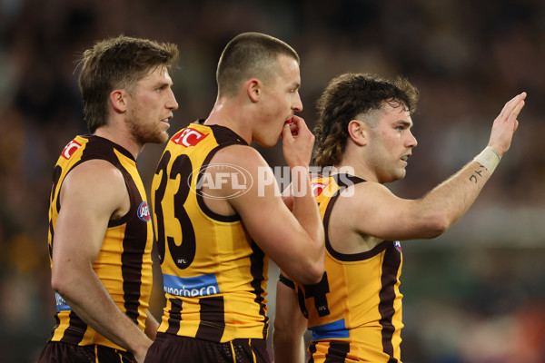 AFL 2025 Second Preliminary Final - Geelong v Hawthorn - A-62899141