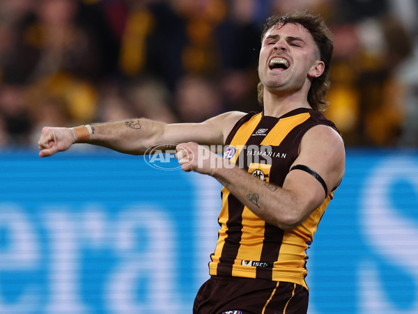 AFL 2025 Second Preliminary Final - Geelong v Hawthorn - A-62899146