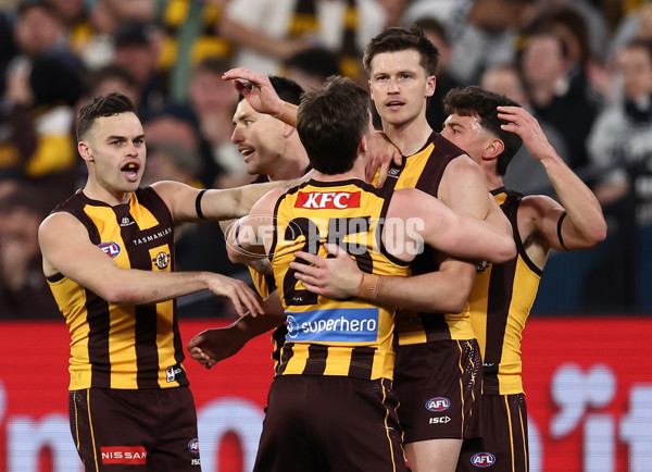 AFL 2025 Second Preliminary Final - Geelong v Hawthorn - A-62899888