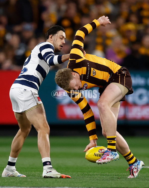 AFL 2025 Second Preliminary Final - Geelong v Hawthorn - A-62899892
