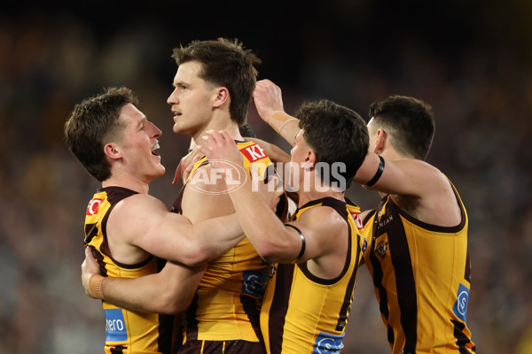 AFL 2025 Second Preliminary Final - Geelong v Hawthorn - A-62899900