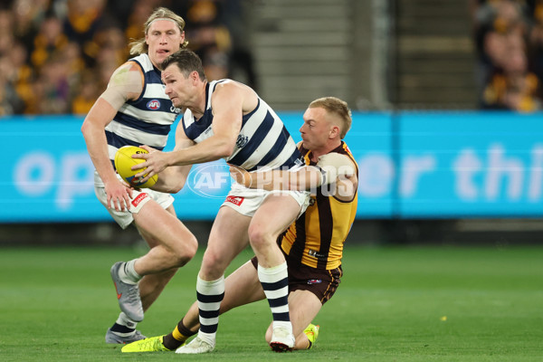AFL 2025 Second Preliminary Final - Geelong v Hawthorn - A-62899920