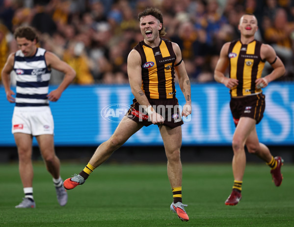 AFL 2025 Second Preliminary Final - Geelong v Hawthorn - A-62899934