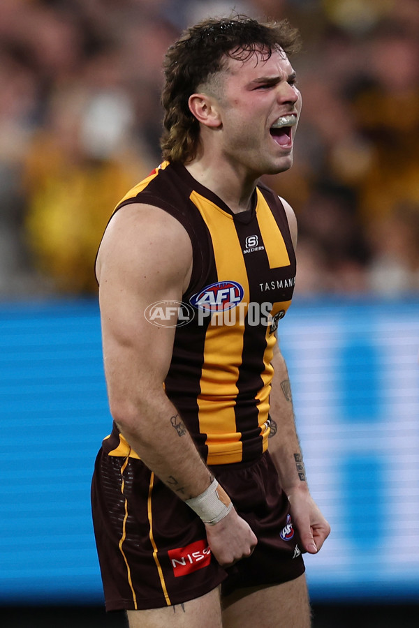 AFL 2025 Second Preliminary Final - Geelong v Hawthorn - A-62899935