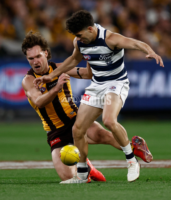 AFL 2025 Second Preliminary Final - Geelong v Hawthorn - A-62899952