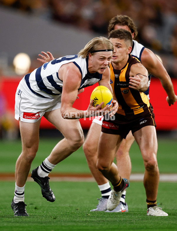 AFL 2025 Second Preliminary Final - Geelong v Hawthorn - A-62899954