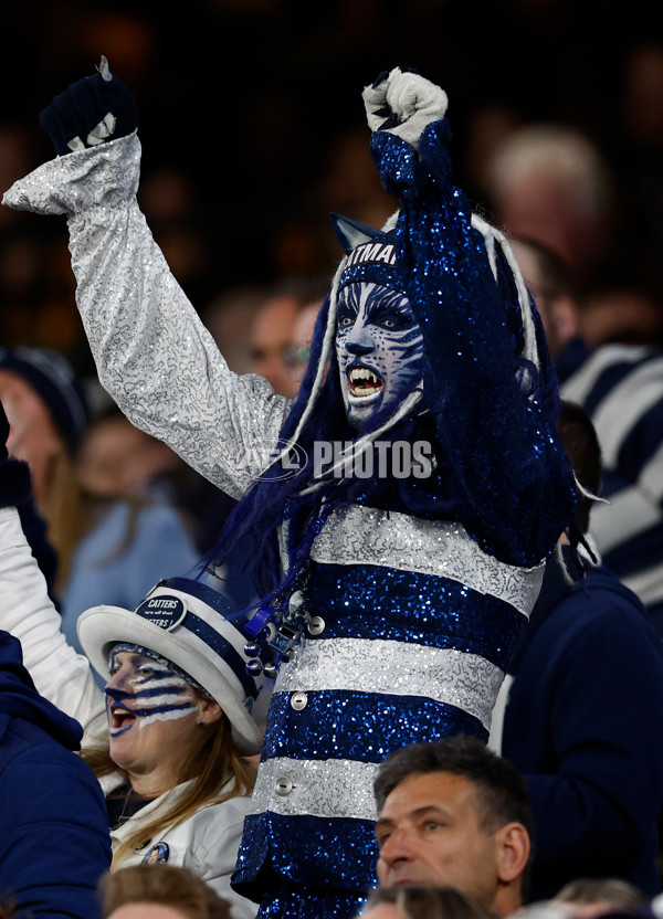 AFL 2025 Second Preliminary Final - Geelong v Hawthorn - A-62899956