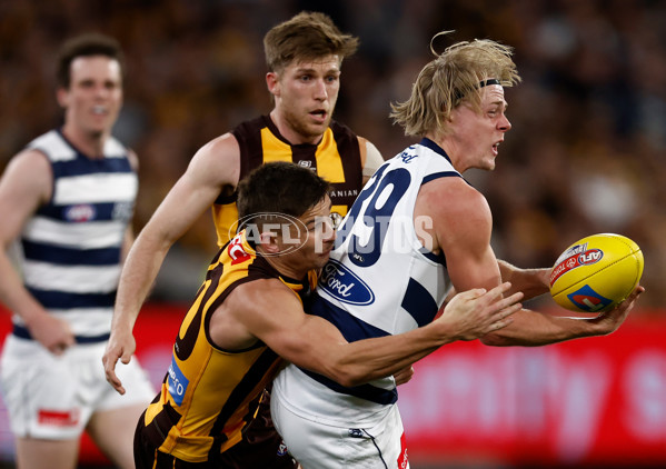 AFL 2025 Second Preliminary Final - Geelong v Hawthorn - A-62901690
