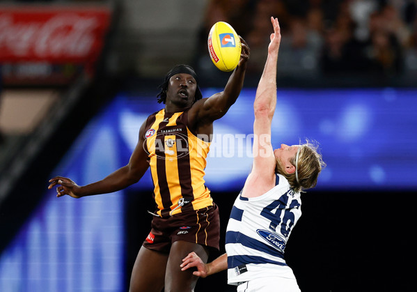 AFL 2025 Second Preliminary Final - Geelong v Hawthorn - A-62901757