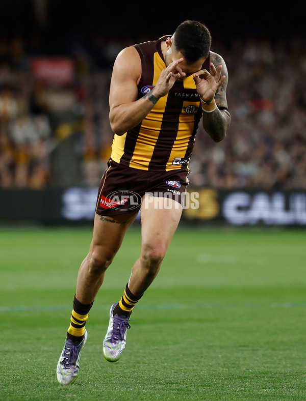 AFL 2025 Second Preliminary Final - Geelong v Hawthorn - A-62901772