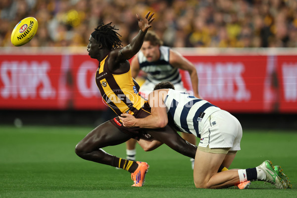 AFL 2025 Second Preliminary Final - Geelong v Hawthorn - A-62901778