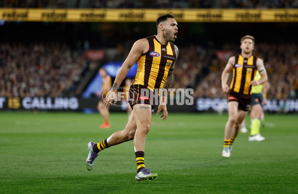 AFL 2025 Second Preliminary Final - Geelong v Hawthorn - A-62901779