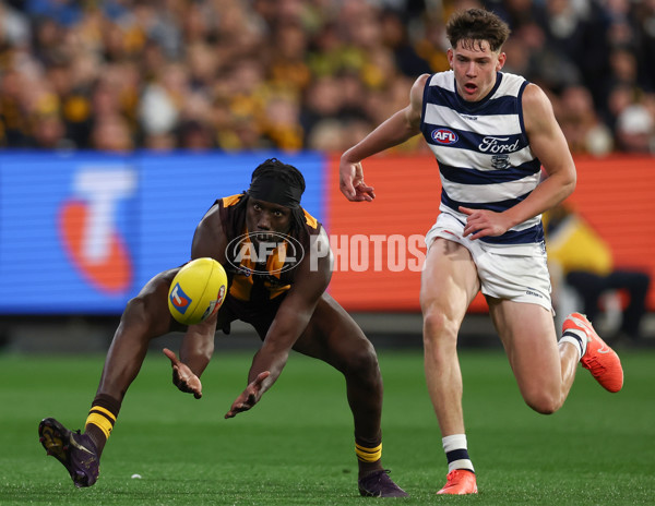 AFL 2025 Second Preliminary Final - Geelong v Hawthorn - A-62901789