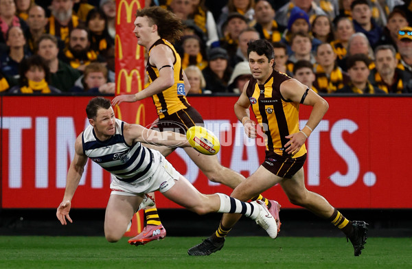AFL 2025 Second Preliminary Final - Geelong v Hawthorn - A-62902324