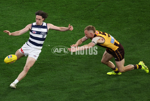 AFL 2025 Second Preliminary Final - Geelong v Hawthorn - A-62902345