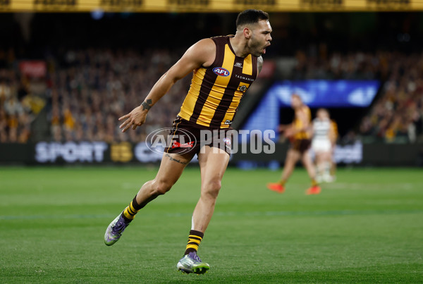 AFL 2025 Second Preliminary Final - Geelong v Hawthorn - A-62902365