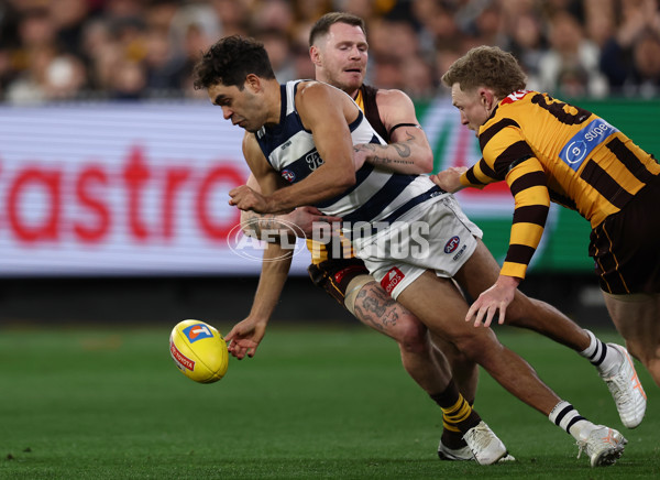 AFL 2025 Second Preliminary Final - Geelong v Hawthorn - A-62902375