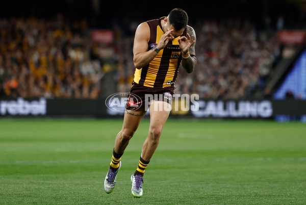 AFL 2025 Second Preliminary Final - Geelong v Hawthorn - A-62902376