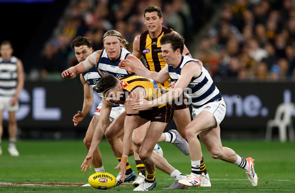 AFL 2025 Second Preliminary Final - Geelong v Hawthorn - A-62902384