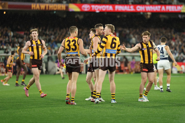 AFL 2025 Second Preliminary Final - Geelong v Hawthorn - A-62904687