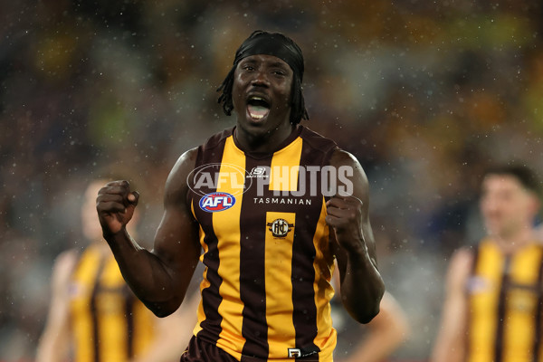 AFL 2025 Second Preliminary Final - Geelong v Hawthorn - A-62904690