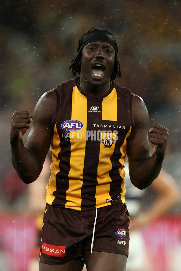 AFL 2025 Second Preliminary Final - Geelong v Hawthorn - A-62904691