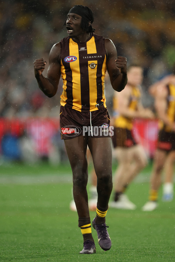 AFL 2025 Second Preliminary Final - Geelong v Hawthorn - A-62904694