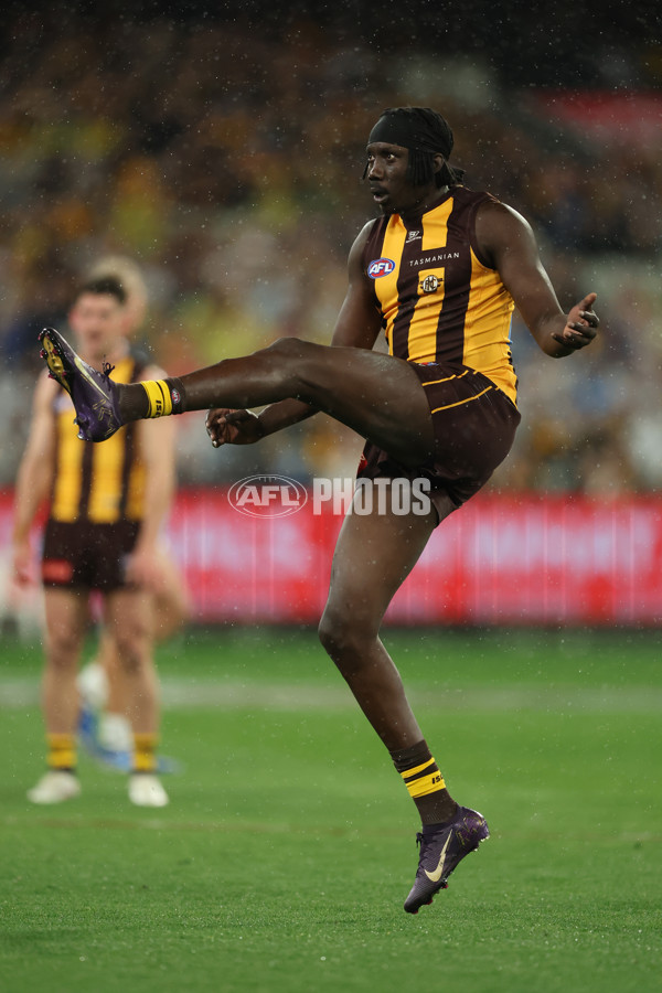 AFL 2025 Second Preliminary Final - Geelong v Hawthorn - A-62904695