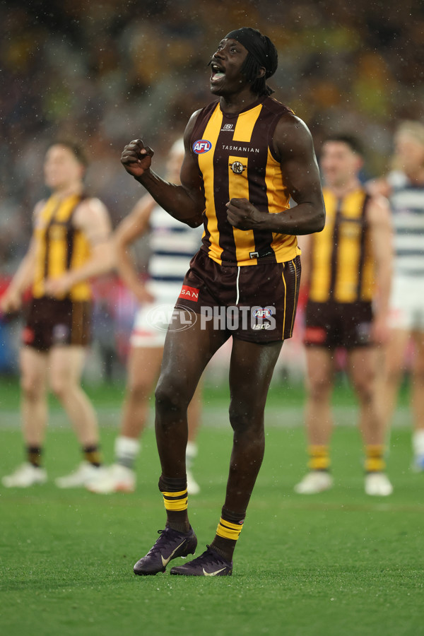 AFL 2025 Second Preliminary Final - Geelong v Hawthorn - A-62904696