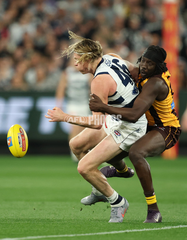 AFL 2025 Second Preliminary Final - Geelong v Hawthorn - A-62905028