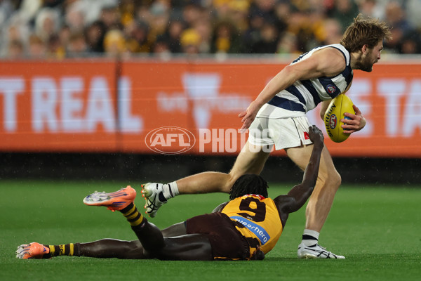 AFL 2025 Second Preliminary Final - Geelong v Hawthorn - A-62905086
