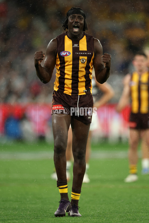 AFL 2025 Second Preliminary Final - Geelong v Hawthorn - A-62905094