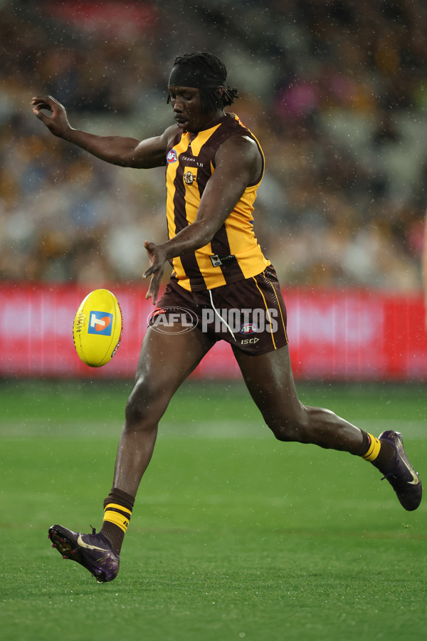 AFL 2025 Second Preliminary Final - Geelong v Hawthorn - A-62905095