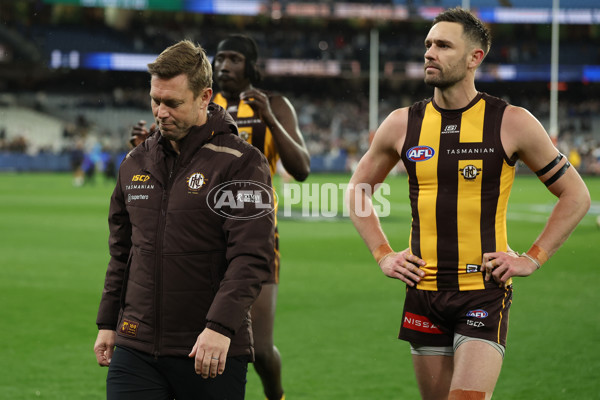 AFL 2025 Second Preliminary Final - Geelong v Hawthorn - A-62905113