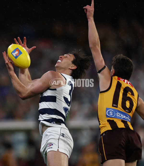 AFL 2025 Second Preliminary Final - Geelong v Hawthorn - A-62907344