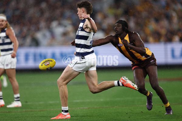 AFL 2025 Second Preliminary Final - Geelong v Hawthorn - A-62907629