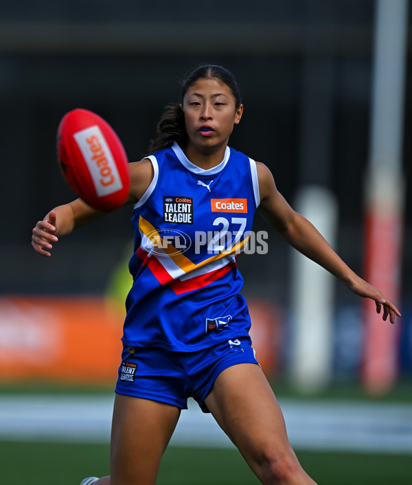 Coates League Girls 2025 Grand Final - Eastern Ranges v Dandenong Stingrays - A-62909805