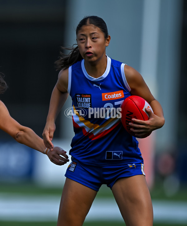 Coates League Girls 2025 Grand Final - Eastern Ranges v Dandenong Stingrays - A-62909816