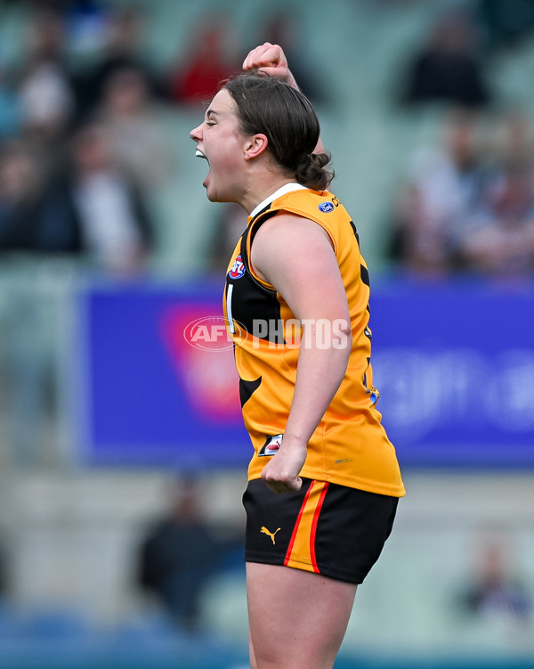 Coates League Girls 2025 Grand Final - Eastern Ranges v Dandenong Stingrays - A-62909831