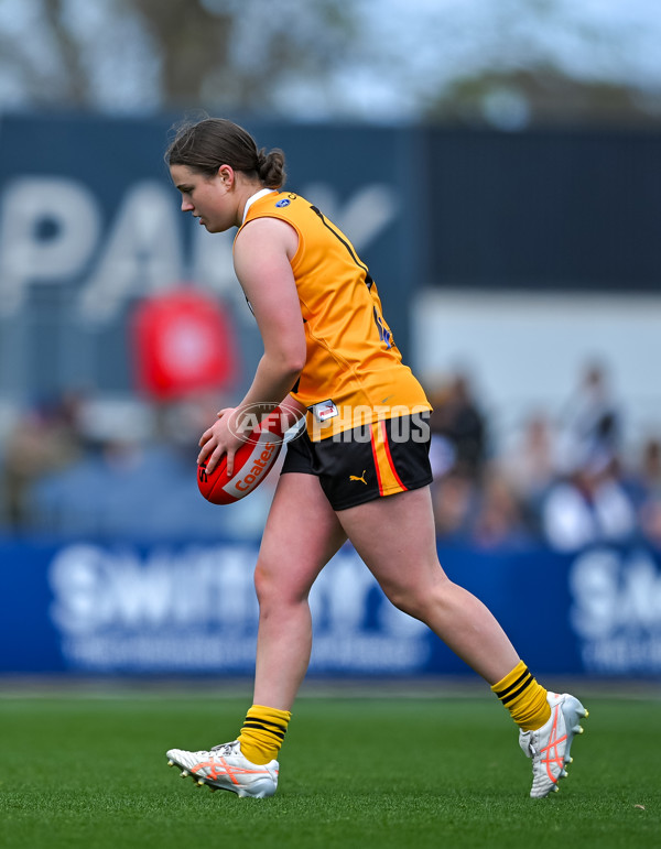 Coates League Girls 2025 Grand Final - Eastern Ranges v Dandenong Stingrays - A-62909832