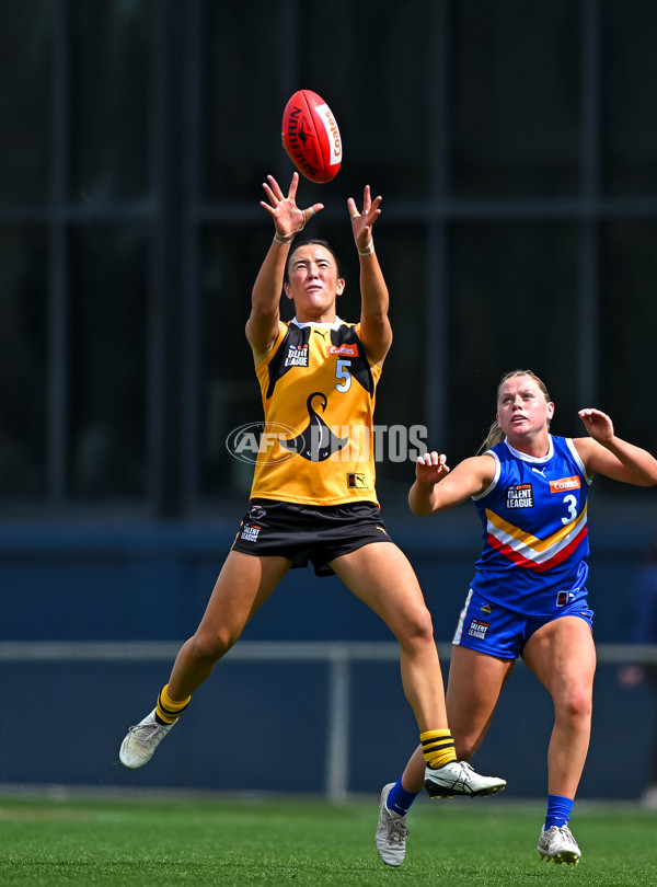 Coates League Girls 2025 Grand Final - Eastern Ranges v Dandenong Stingrays - A-62909840