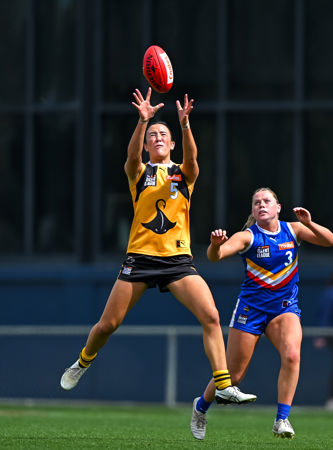 1248 CLGGFERDS200925JS.jpg