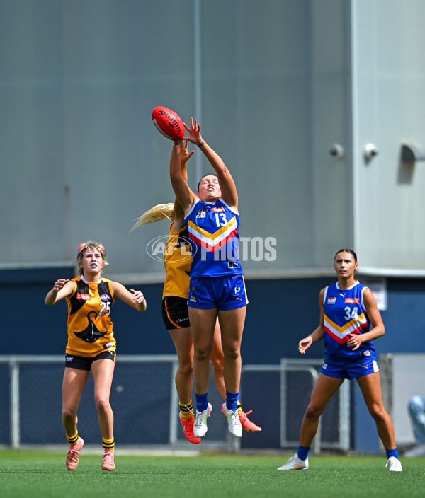 Coates League Girls 2025 Grand Final - Eastern Ranges v Dandenong Stingrays - A-62909842